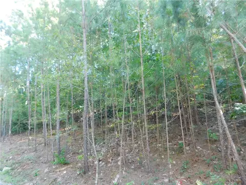 lot6 Bentwood Way, Salem, SC 29676