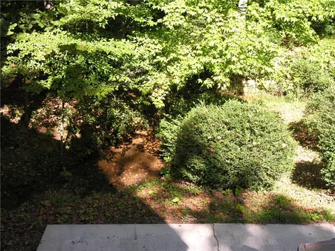 105 Mitchell Ave, Clemson, SC 29631 photo 49