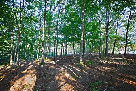 437 Augusta Way, Sunset, SC 29685 photo 16
