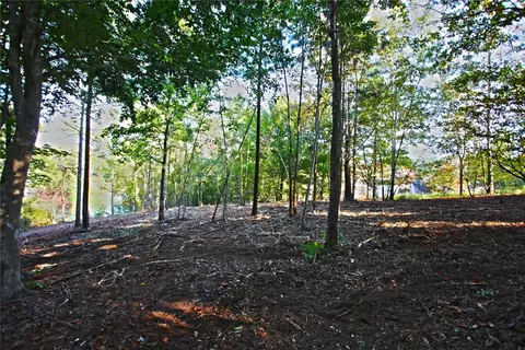 437 Augusta Way, Sunset, SC 29685 photo 21
