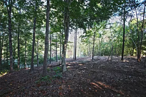 437 Augusta Way, Sunset, SC 29685 photo 20