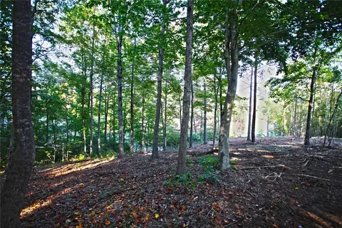 437 Augusta Way, Sunset, SC 29685 photo 19