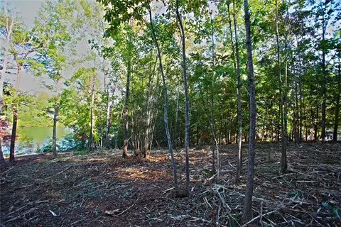 437 Augusta Way, Sunset, SC 29685 photo 24