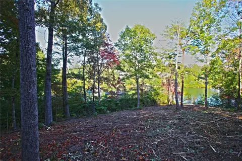 437 Augusta Way, Sunset, SC 29685 photo 22