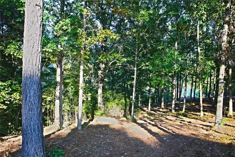 437 Augusta Way, Sunset, SC 29685 photo 14