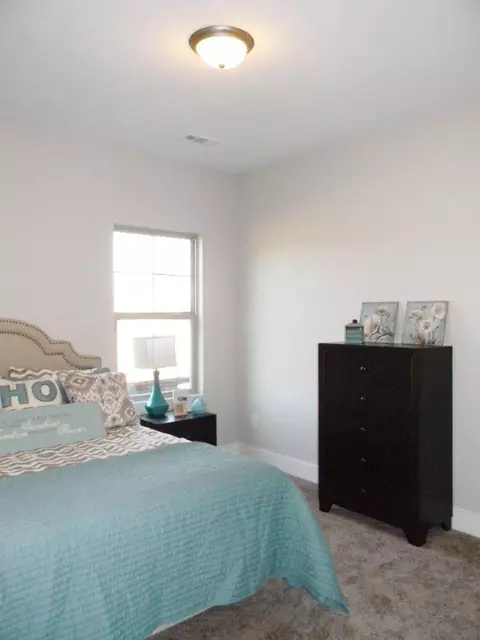 205 Grassy Creek Way, Pendleton, SC 29670 photo 16