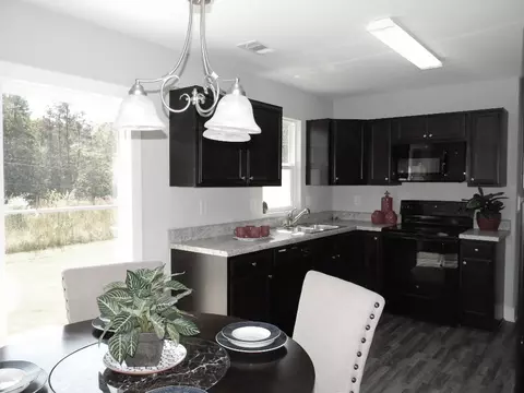 409 Bee Cove Way, Pendleton, SC 29670 photo 3