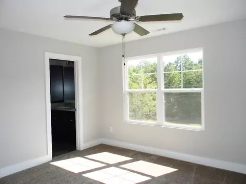 409 Bee Cove Way, Pendleton, SC 29670 photo 8