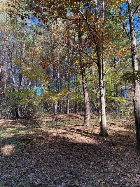 105 Starglass Way, Sunset, SC 29685 photo 10
