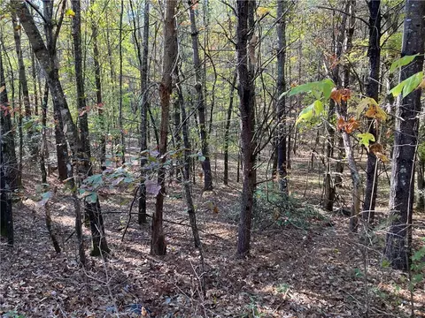 105 Starglass Way, Sunset, SC 29685 photo 17