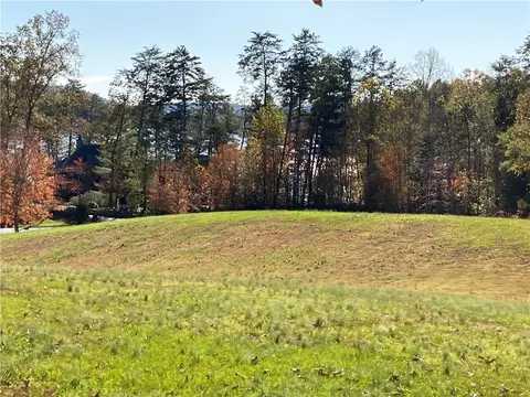 105 Starglass Way, Sunset, SC 29685 photo 15