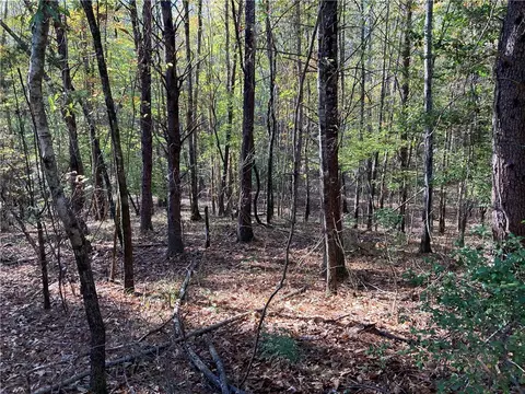 105 Starglass Way, Sunset, SC 29685 photo 8