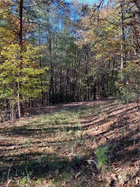 105 Starglass Way, Sunset, SC 29685 photo 7