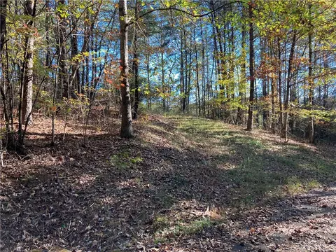 105 Starglass Way, Sunset, SC 29685 photo 18