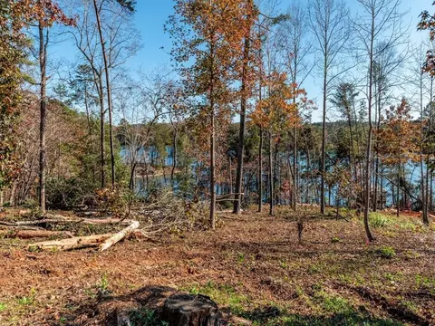 453 Peninsula Rdg, Sunset, SC 29685 photo 2