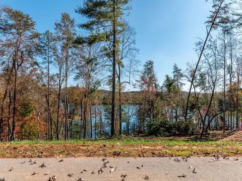 453 Peninsula Rdg, Sunset, SC 29685 photo 3