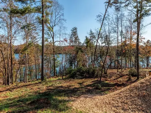 453 Peninsula Rdg, Sunset, SC 29685 photo 1