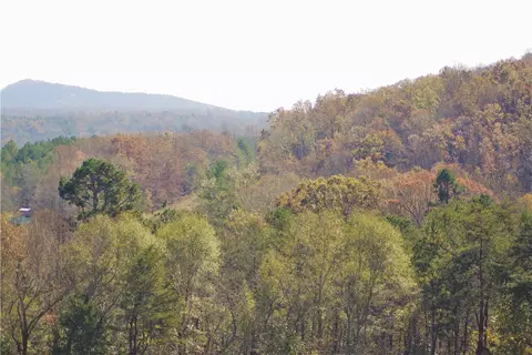 166 E Preston Mcdaniel Rd, Pickens, SC 29671 photo 28