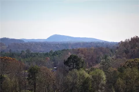 166 E Preston Mcdaniel Rd, Pickens, SC 29671 photo 25