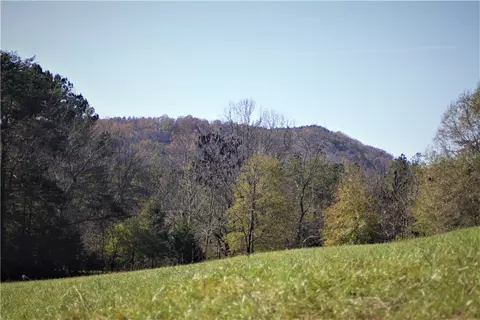 166 E Preston Mcdaniel Rd, Pickens, SC 29671 photo 22