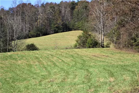 166 E Preston Mcdaniel Rd, Pickens, SC 29671 photo 31
