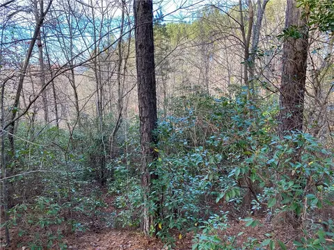 632 Top Ridge Dr, Sunset, SC 29685 photo 9