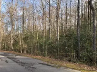 166 Bailey Brown Rd, Easley, SC 29640 photo 3