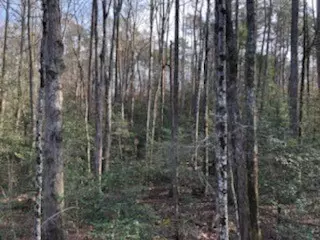166 Bailey Brown Rd, Easley, SC 29640 photo 1