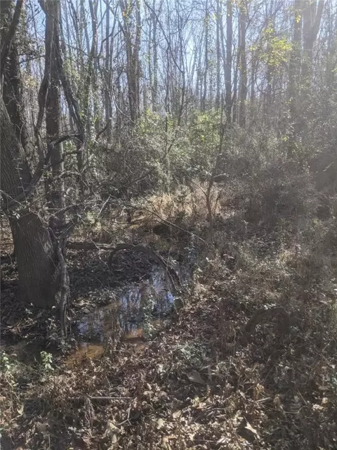 1147 Wright School Rd, Belton, SC 29627 photo 20