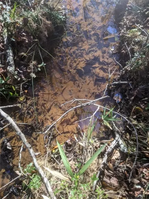 1147 Wright School Rd, Belton, SC 29627 photo 21