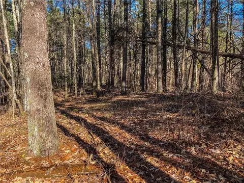108 Princess Tree Way, Sunset, SC 29685 photo 8
