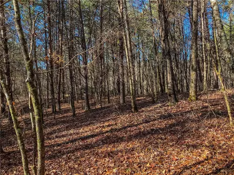 108 Princess Tree Way, Sunset, SC 29685 photo 6