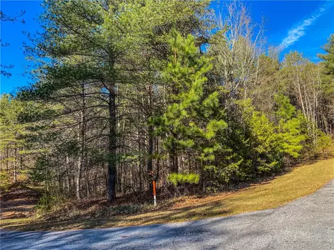 108 Princess Tree Way, Sunset, SC 29685 photo 2