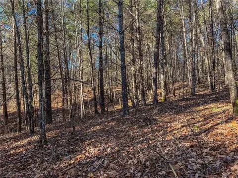 108 Princess Tree Way, Sunset, SC 29685 photo 7