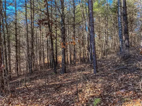 108 Princess Tree Way, Sunset, SC 29685 photo 4