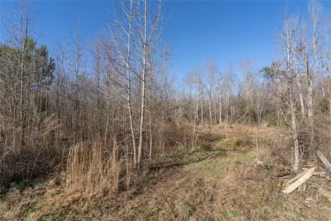 705 Preston Rd, Pelzer, SC 29669 photo 39