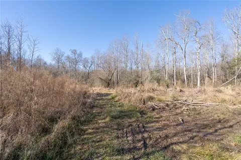 705 Preston Rd, Pelzer, SC 29669 photo 40