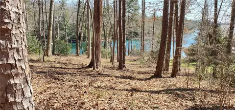 321 Wake Robin Dr, Sunset, SC 29685 photo 27