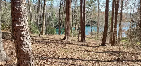 321 Wake Robin Dr, Sunset, SC 29685 photo 26
