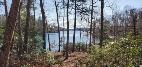 321 Wake Robin Dr, Sunset, SC 29685 photo 4
