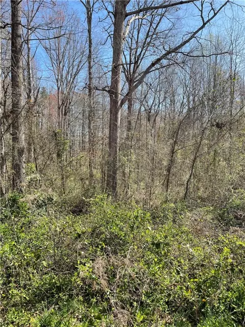 205 Chantilly Cir, Starr, SC 29684 photo 3