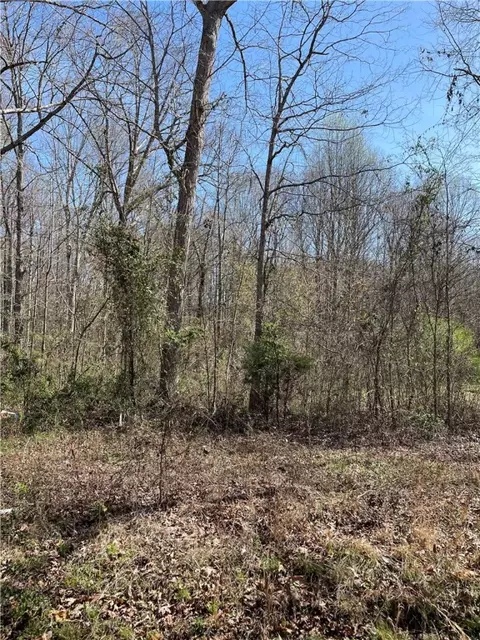 205 Chantilly Cir, Starr, SC 29684 photo 1