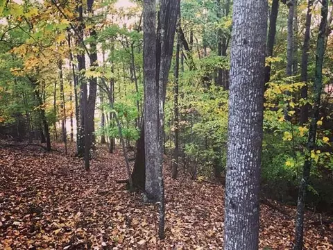 202 Galloping Ghost Rd, Anderson, SC 29625 photo 6