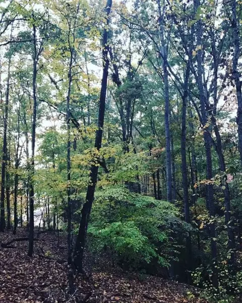 202 Galloping Ghost Rd, Anderson, SC 29625 photo 5