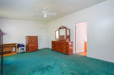 250 Peach Dr, Central, SC 29630 photo 20