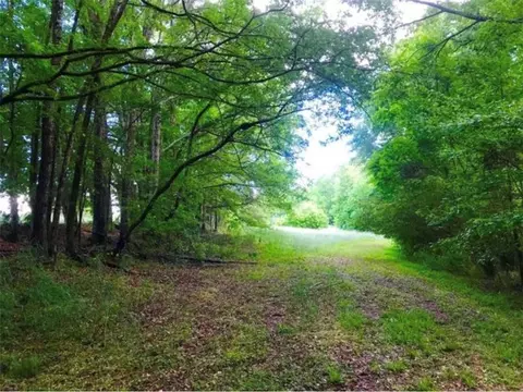 6415 Liberty Hwy, Pendleton, SC 29670 photo 15