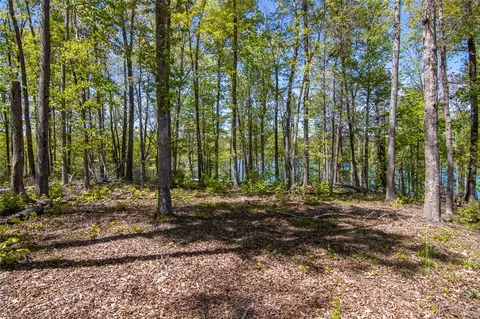 442 Peninsula Rdg, Sunset, SC 29685 photo 13