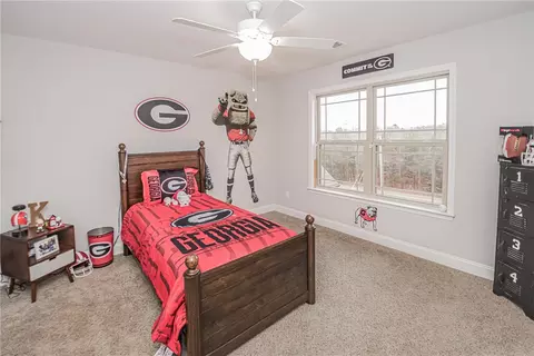 700 Walker Rd, Pendleton, SC 29670 photo 50