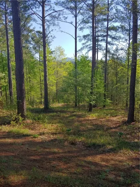 209 Augusta Way, Sunset, SC 29685 photo 2