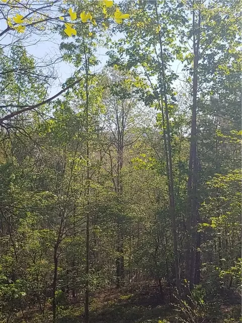 209 Augusta Way, Sunset, SC 29685 photo 3
